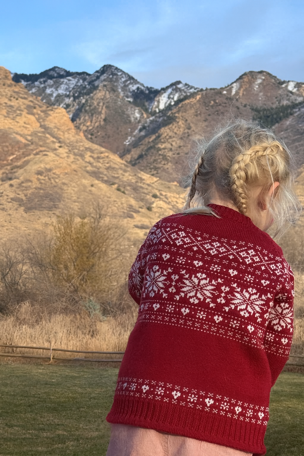 Wool cardigan snowflake